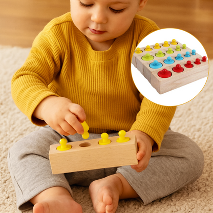 Montessori Wooden Sorting Toy