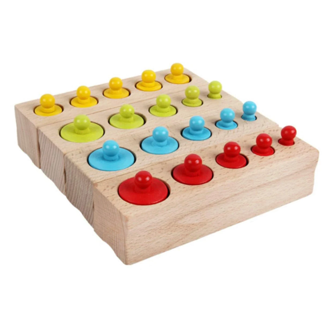 Montessori Wooden Sorting Toy